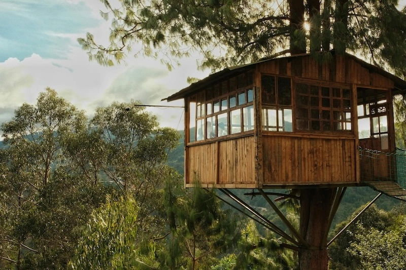 Cabanes & cabanes dans les arbres